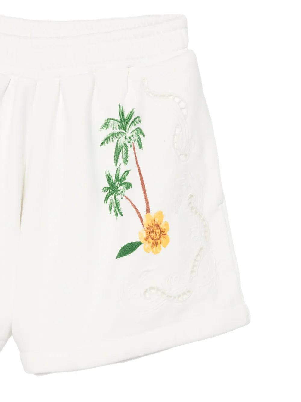 "Coconut Trees Come To Rio" – Shorts