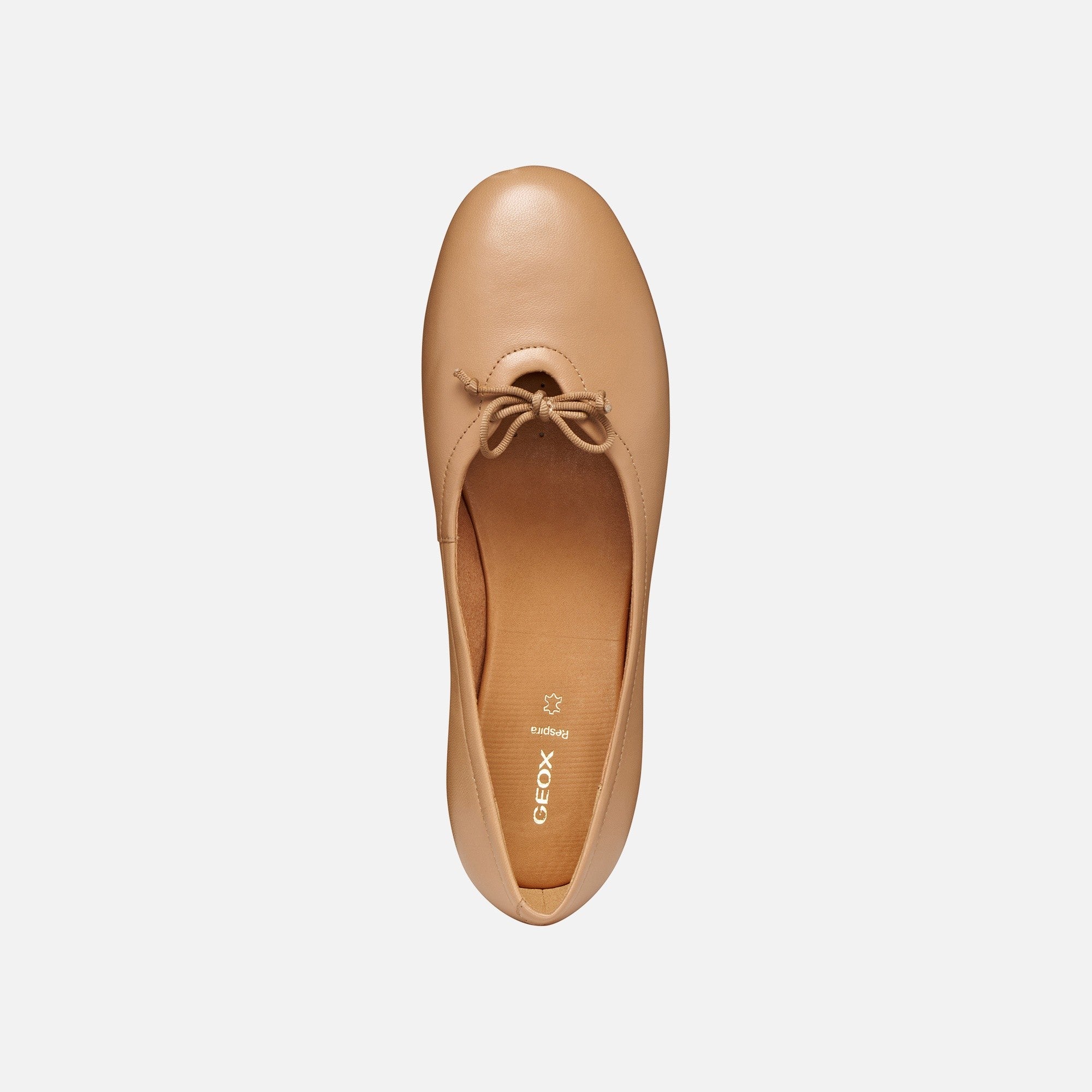 New Palmaria Ballerina